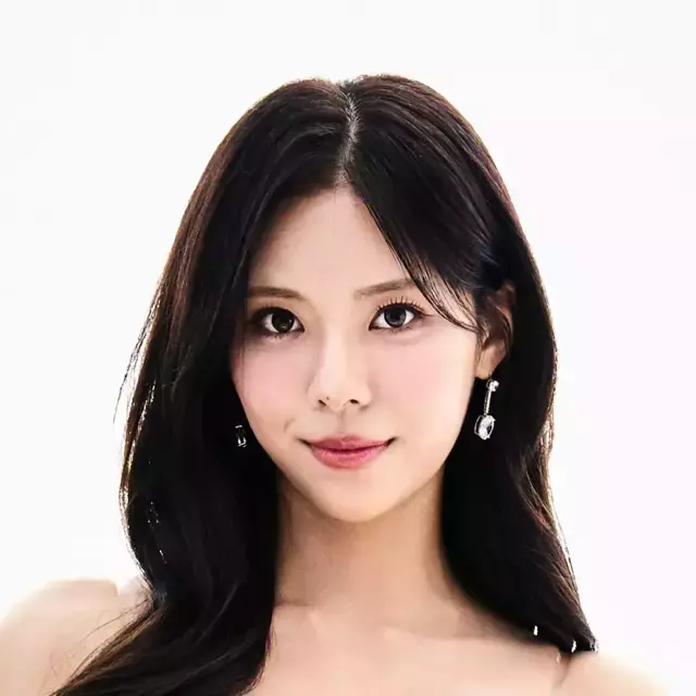 김보연