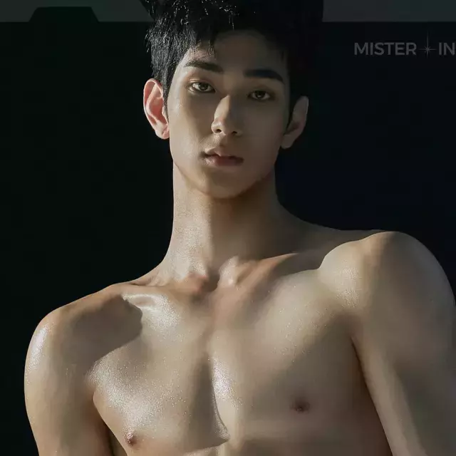 안호연